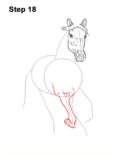 How to Draw Horse Running Front Forward 18