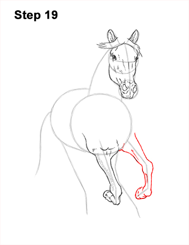 How to Draw Horse Running Front Forward 19