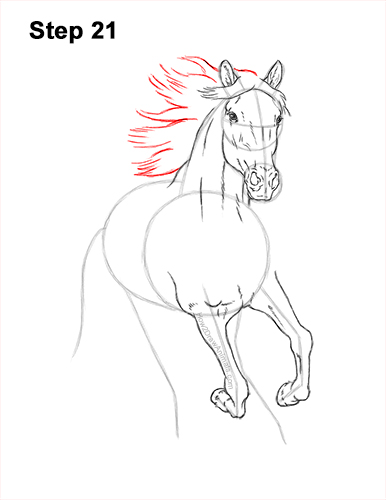 How to Draw Horse Running Front Forward 21