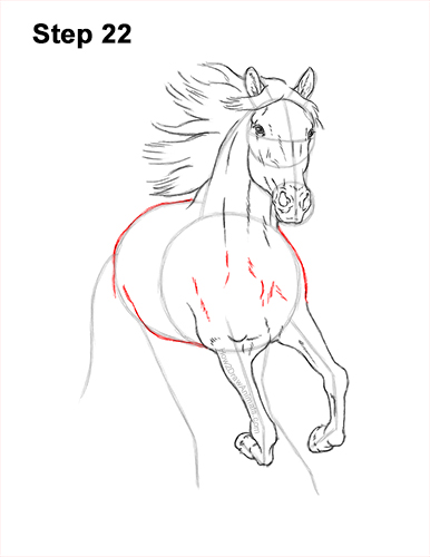 How to Draw Horse Running Front Forward 22