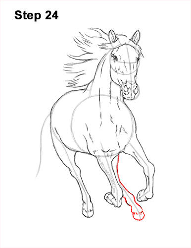 How to Draw Horse Running Front Forward 24