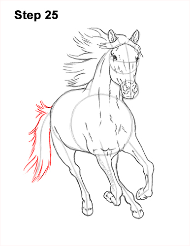 Draw Horse Running Forward 25 How to Draw Horse Running Front Forward 25