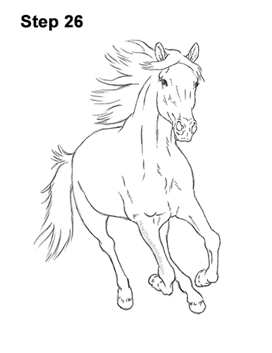Draw Horse Running Forward 26 How to Draw Horse Running Front Forward 26