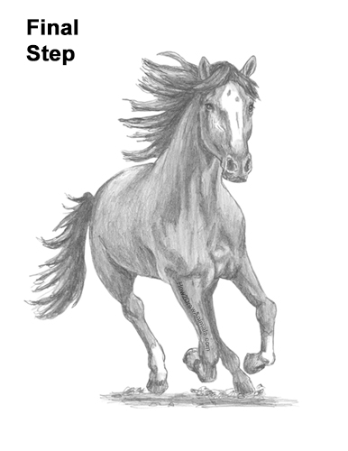 Draw Horse Running Forward How to Draw Horse Running Front Forward