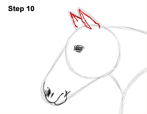 Horse Running Drawing 10 Draw Running Horse 10