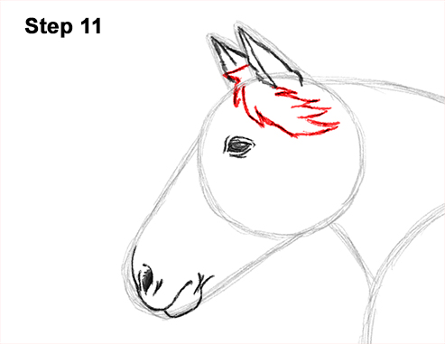 Horse Running Drawing 11 Draw Running Horse 11
