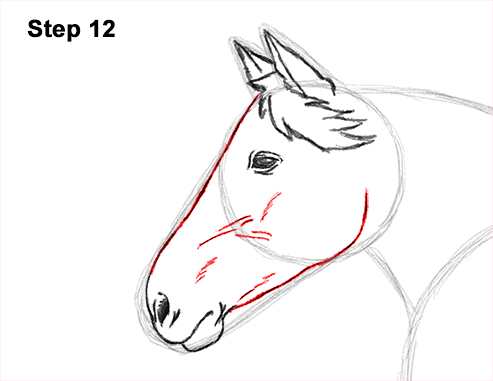 Horse Running Drawing 12 Draw Running Horse 12