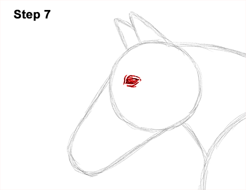 Horse Running Drawing 7 Draw Running Horse 7