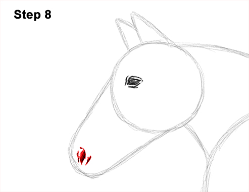 Horse Running Drawing 8 Draw Running Horse 8