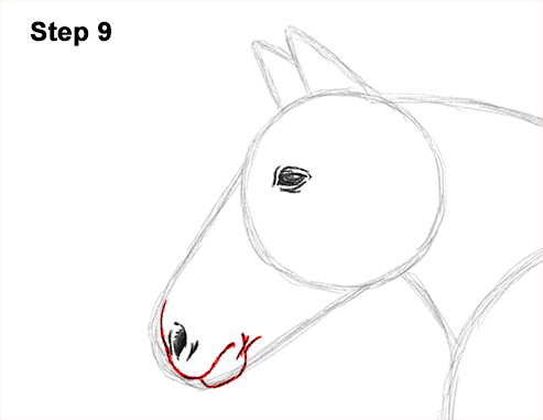 Horse Running Drawing 9 Draw Running Horse 9