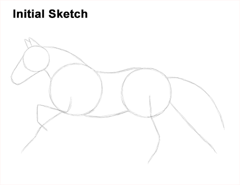 Horse Running Drawing Initial Sketch Draw Running Horse Initial Sketch
