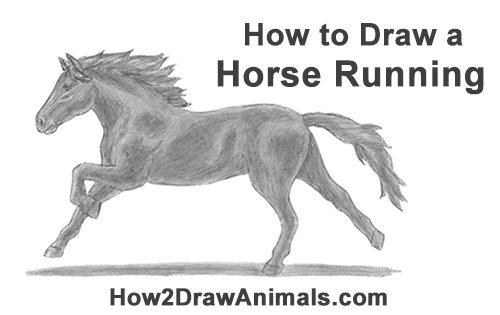 Draw a Horse Running How to Draw a Running Horse