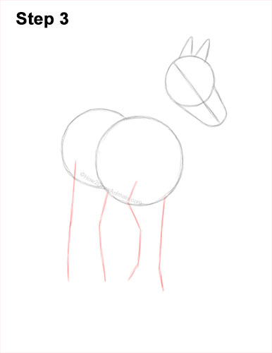 How to Draw a Horse Three Quarter Front View Walking 3