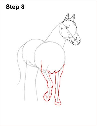 How to Draw a Horse Three Quarter Front View Walking 8