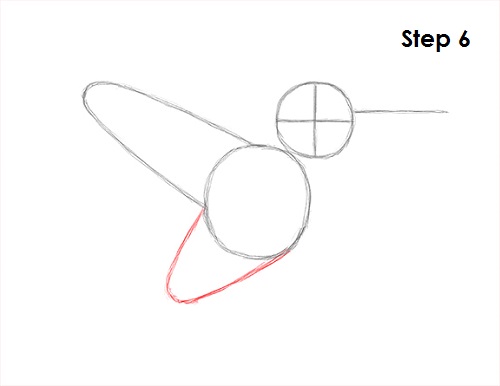 Hummingbird Drawing 6 Draw Hummingbird 6