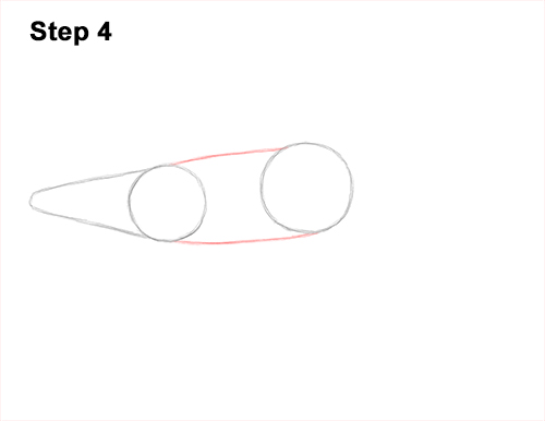 Draw Humpback Whale 4 How to Draw Humpback Whale Side 4
