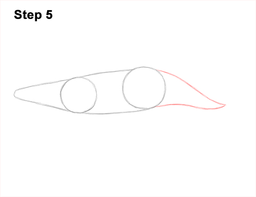 Draw Humpback Whale 5 How to Draw Humpback Whale Side 5