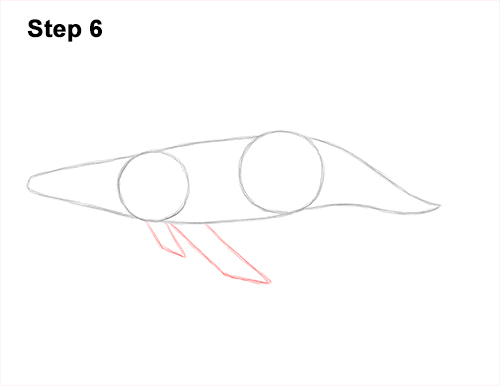How to Draw Humpback Whale Side 6