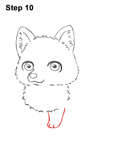 Draw a Cartoon Husky Dog 10 How to Draw a Cute Chibi Little Mini Cartoon Husky Puppy Dog 10