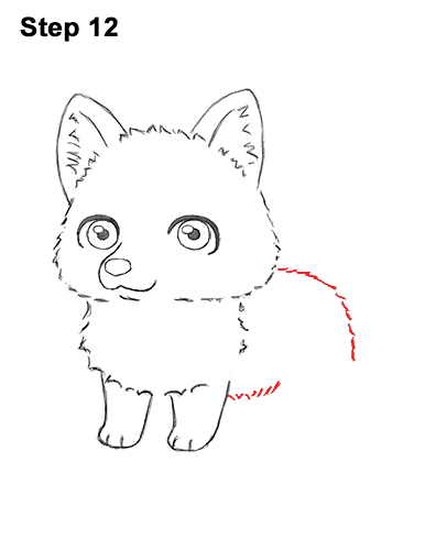 Draw a Cartoon Husky Dog 12 How to Draw a Cute Chibi Little Mini Cartoon Husky Puppy Dog 12