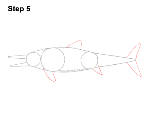 Draw an Ichthyosaurus 5 How to Draw an Ichthyosaurus Dinosaur Side View 5