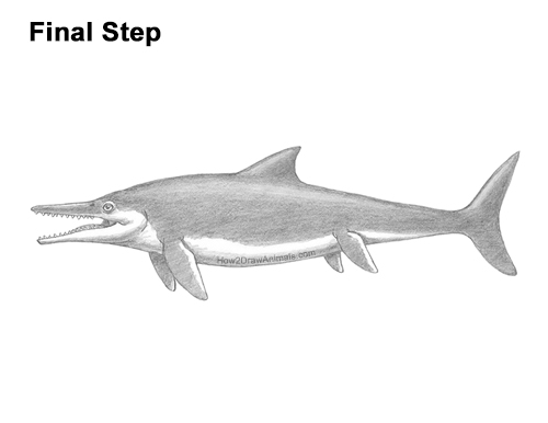 How to Draw an Ichthyosaurus Dinosaur Side View