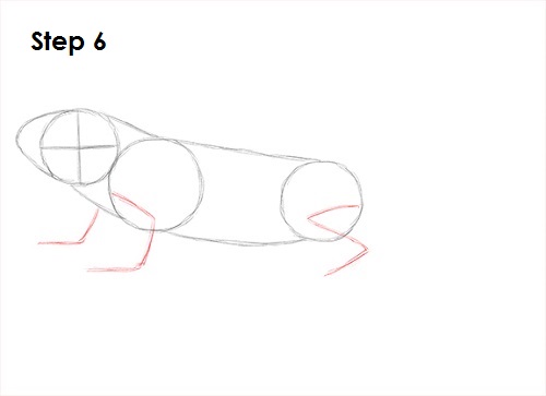 Iguana Drawing 6 Draw Iguana 6