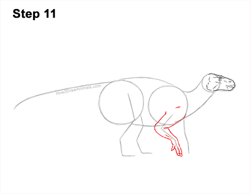 Draw an Iguanodon Dinosaur 11 How to Draw an Iguanodon Dinosaur Side 11