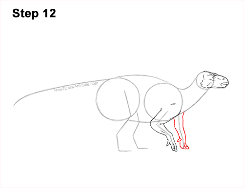 Draw an Iguanodon Dinosaur 12 How to Draw an Iguanodon Dinosaur Side 12