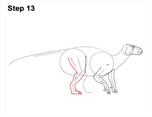 Draw an Iguanodon Dinosaur 13 How to Draw an Iguanodon Dinosaur Side 13