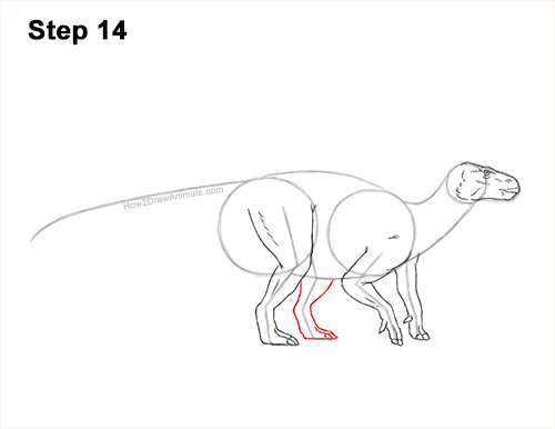 Draw an Iguanodon Dinosaur 14 How to Draw an Iguanodon Dinosaur Side 14