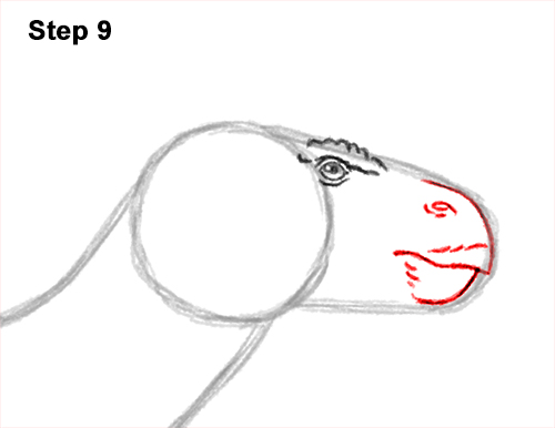 Draw an Iguanodon Dinosaur 9 How to Draw an Iguanodon Dinosaur Side 9