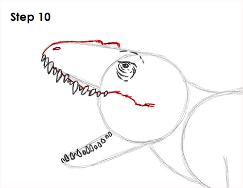 Draw Indominus Rex Dinosaur 10