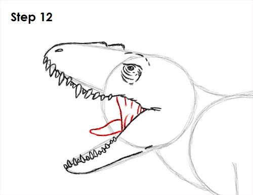Draw Indominus Rex Dinosaur 12