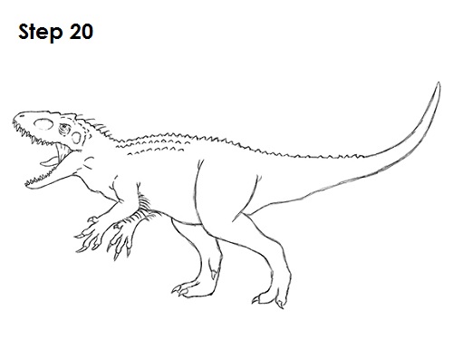 Indominus Rex Drawing 20 Draw Indominus Rex Dinosaur 20