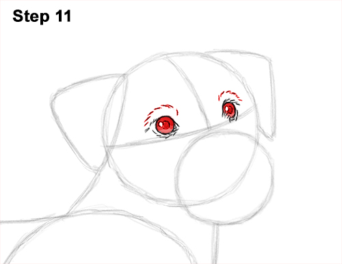 How to Draw a Cute Jack Russell Terrier Puppy Dog 11