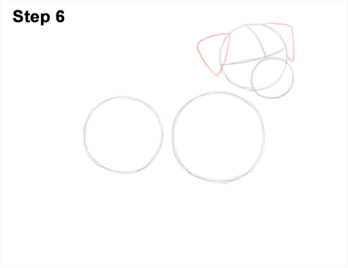 Draw a Jack Russell Terrier Dog 6 How to Draw a Cute Jack Russell Terrier Puppy Dog 6