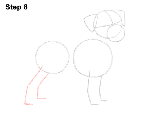 Draw a Jack Russell Terrier Dog 8 How to Draw a Cute Jack Russell Terrier Puppy Dog 8