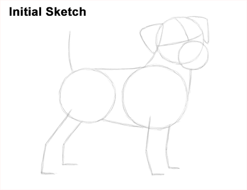 Draw a Jack Russell Terrier Dog Sketch How to Draw a Cute Jack Russell Terrier Puppy Dog Initial Sketch
