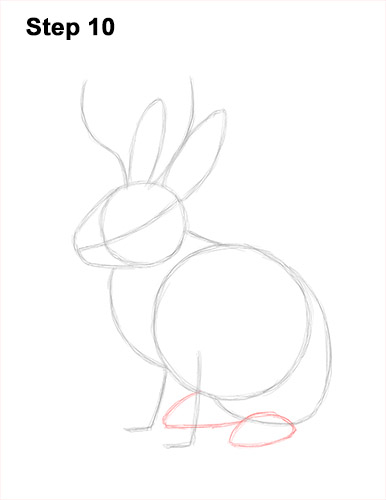How to Draw a Jackalope Rabbit Antlers 10