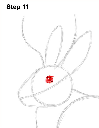 Draw a Jackalope 11 How to Draw a Jackalope Rabbit Antlers 11