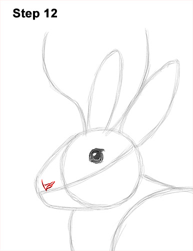 Draw a Jackalope 12 How to Draw a Jackalope Rabbit Antlers 12