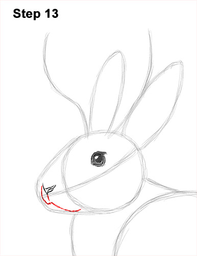 Draw a Jackalope 13 How to Draw a Jackalope Rabbit Antlers 13
