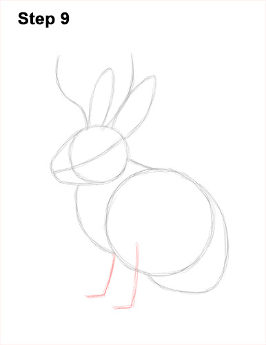 How to Draw a Jackalope Rabbit Antlers 9