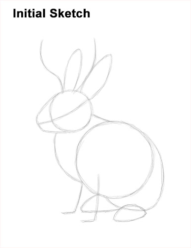 Draw a Jackalope Guidelines How to Draw a Jackalope Rabbit Antlers Guide Lines