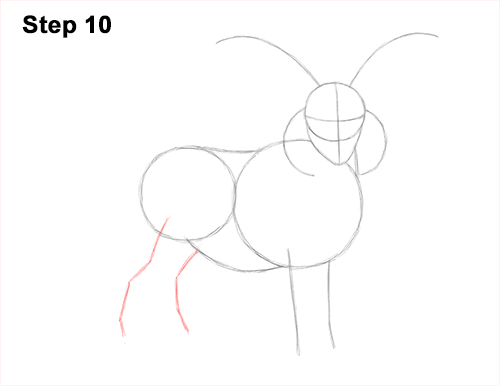How to Draw Jacob Sheep 10 How to Draw Jacob Sheep Four Horns Ram 10