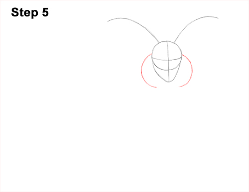 How to Draw Jacob Sheep Four Horns Ram 5