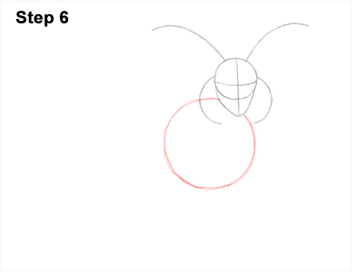 How to Draw Jacob Sheep 6 How to Draw Jacob Sheep Four Horns Ram 6