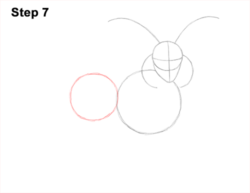 How to Draw Jacob Sheep 7 How to Draw Jacob Sheep Four Horns Ram 7