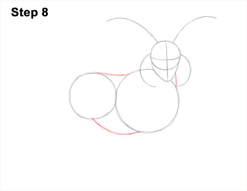 How to Draw Jacob Sheep 8 How to Draw Jacob Sheep Four Horns Ram 8